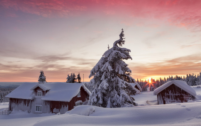 Обои картинки фото природа, зима, закат, хижина, ели, снег