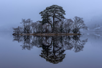 Картинка природа реки озера иней деревья река островок