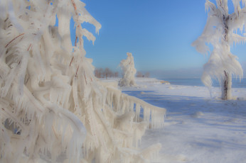 Картинка природа зима деревья обледенение лёд