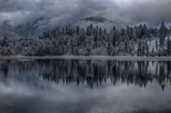 Картинка природа зима снег озеро лес