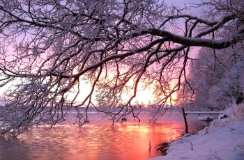 Картинка природа зима река закат дерево снег