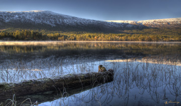 Картинка природа реки озера горы отражение пейзаж озеро