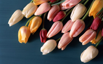 Картинка цветы тюльпаны букет бутоны разноцветные поверхность