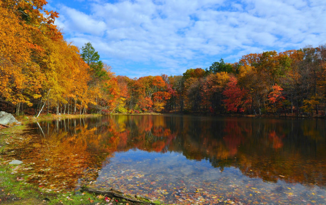 Обои картинки фото природа, реки, озера, деревья, осень, лес, озеро, небо, облака