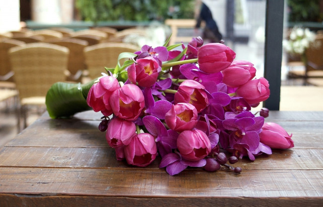 Обои картинки фото цветы, букеты,  композиции, тюльпаны, орхидеи, бутоны, цвет, розовый, яркий, насыщенный, листья, лепестки