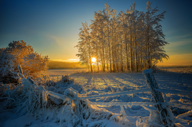 Обои картинки фото природа, зима, снег, утро, покосившийся, забор, деревья, солнце, восход