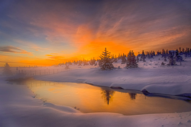 Обои картинки фото природа, восходы, закаты, лес, снег, зима, рассвет, река