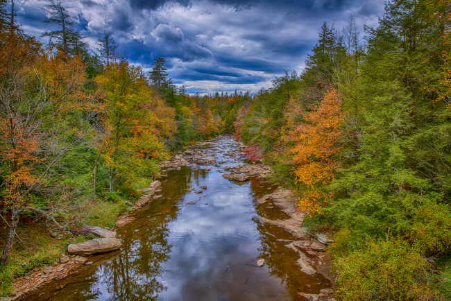 Обои картинки фото природа, реки, озера, лес, река, осень