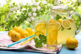 Картинка еда напитки лимоны мята