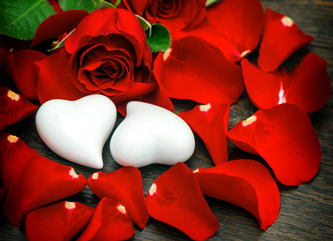 Обои картинки фото праздничные, день святого валентина,  сердечки,  любовь, день, святого, валентина, розы, бутоны, лепестки, сердечки