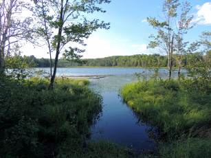 Картинка природа реки озера трава лето река
