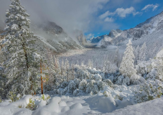 Картинка природа горы деревья снег