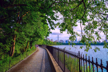 Картинка природа парк сша нью-йорк центральный города