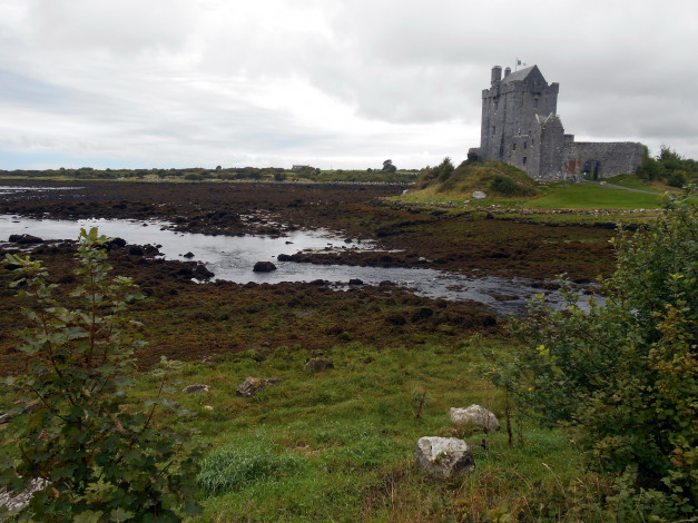 Обои картинки фото dunguaire castle ireland, города, замки ирландии, ireland, dunguaire, castle