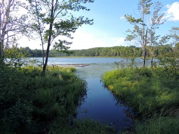 Обои картинки фото природа, реки, озера, трава, лето, река