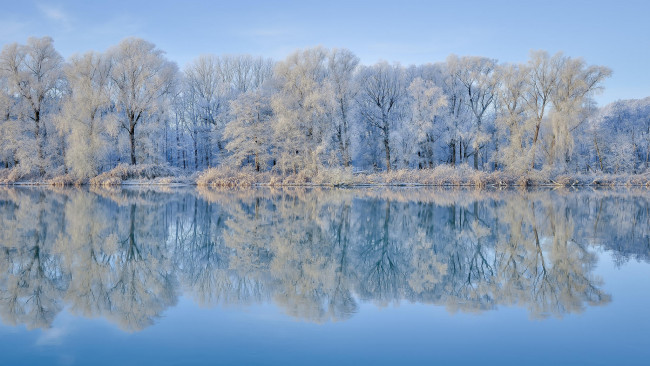 Обои картинки фото природа, реки, озера, озеро, деревья, снег
