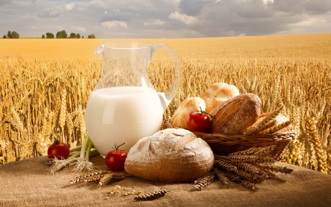 Обои картинки фото еда, разное, хлеб, помидоры, молоко, колосья, булочки, поле