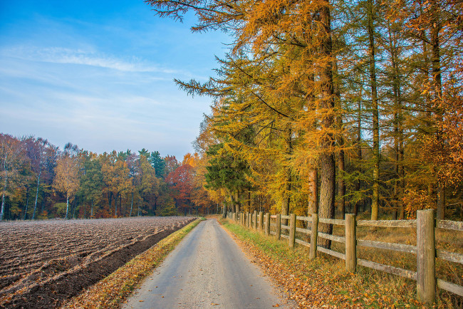 Обои картинки фото природа, дороги, осень, поле, дорога, лес, деревья