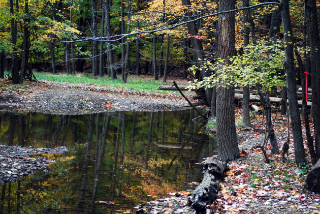 Обои картинки фото природа, реки, озера, осень, деревья, ручей, листва