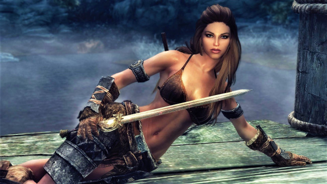 Обои картинки фото видео игры, the elder scrolls v,  skyrim, skyrim, девушки, игры, компаньонки, девушка воин