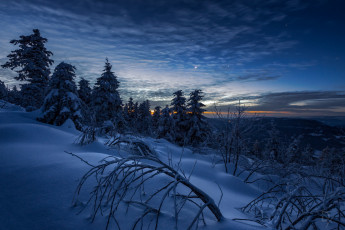 Картинка природа зима снег деревья ночь облака