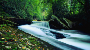Картинка природа водопады водопад поток лес камни