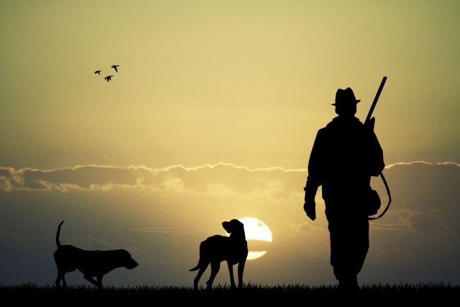 Обои картинки фото разное, люди, охотник, собаки, ружье, закат