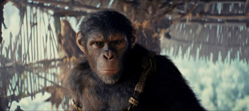 Картинка kingdom+of+the+planet+of+the+apes+ +2024+ кино+фильмы -unknown+ другое планета обезьян новое царство фантастика боевик персонаж proximus caesar