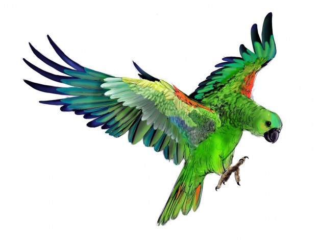 Обои картинки фото рисованное, животные,  птицы,  попугаи, попугай, зеленый
