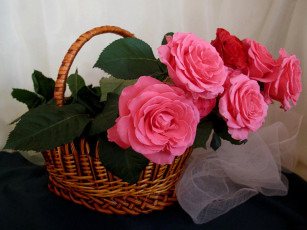 Картинка цветы розы корзинка