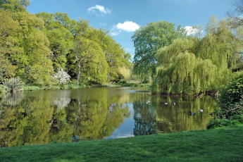 Картинка природа парк озеро деревья