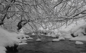 обоя природа, зима, снег, река, деревья