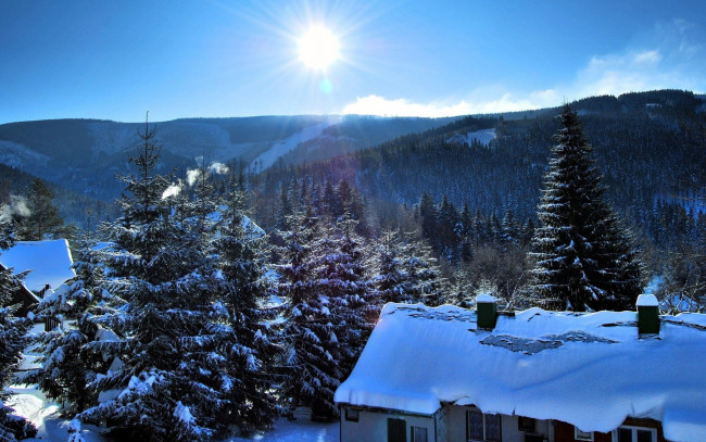 Обои картинки фото природа, зима, горы, ели, снег, восход