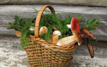 Картинка еда грибы грибные блюда корзина