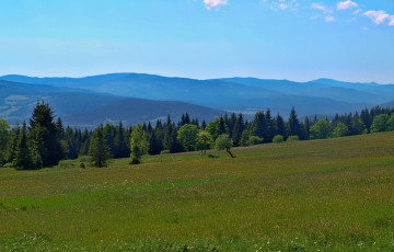 Картинка природа поля narodni park sumava шумава богемия Чехия полонина лес горы