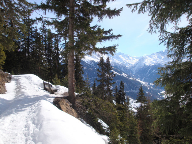 Обои картинки фото швейцария, бань, природа, горы, зима, снег, ели