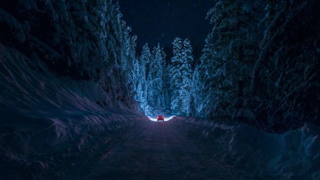 Обои картинки фото природа, дороги, ночь, елки