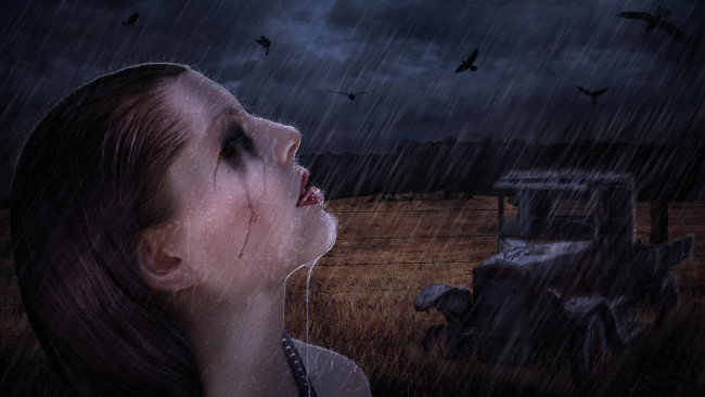 Обои картинки фото rainy, day, фэнтези, девушки, вороны, поле, дождь, капли, девушка, голова, машина