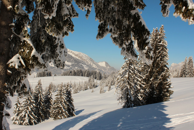 Обои картинки фото швейцария, люцерн, флюли, природа, зима, снег, горы