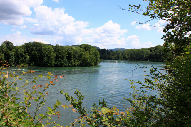 Обои картинки фото швейцария, ритхайм, природа, реки, озера, лес, река