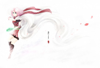 Картинка аниме naruto куноичи плащ кунай сакура лепестки иероглифы белый фон арт