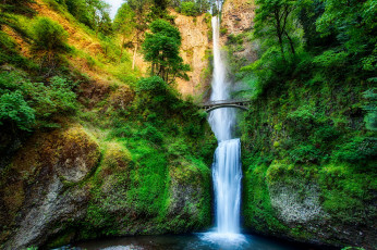 Картинка multnomah+falls+oregon природа водопады водопад oregon falls multnomah