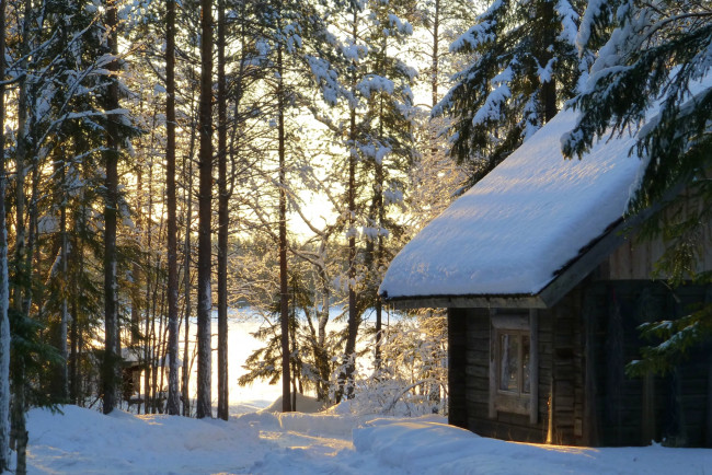 Обои картинки фото природа, зима, лес, снег, избушка