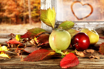 Картинка еда Яблоки листья осень