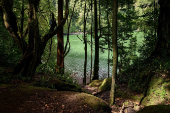Картинка остров+сан-мигель+португалия природа реки озера озеро португалия сан-мигель деревья лес остров