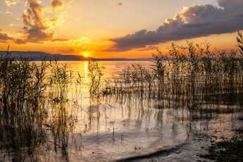 Картинка природа восходы закаты озеро заря камыш