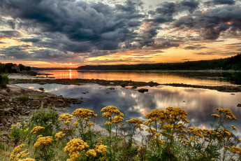 Картинка природа восходы закаты сумерки цветы озеро