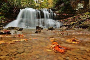 Картинка природа водопады leaves water stream waterfall осень листья вода поток водопад autumn