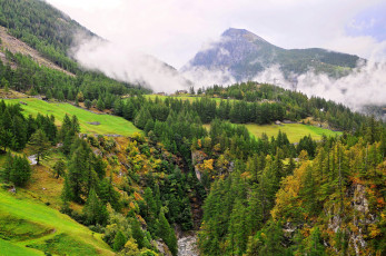 Картинка природа пейзажи трава пейзаж деревья горы швейцария