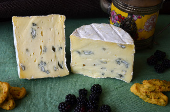 обоя le fondant bleu, еда, сырные изделия, сыр